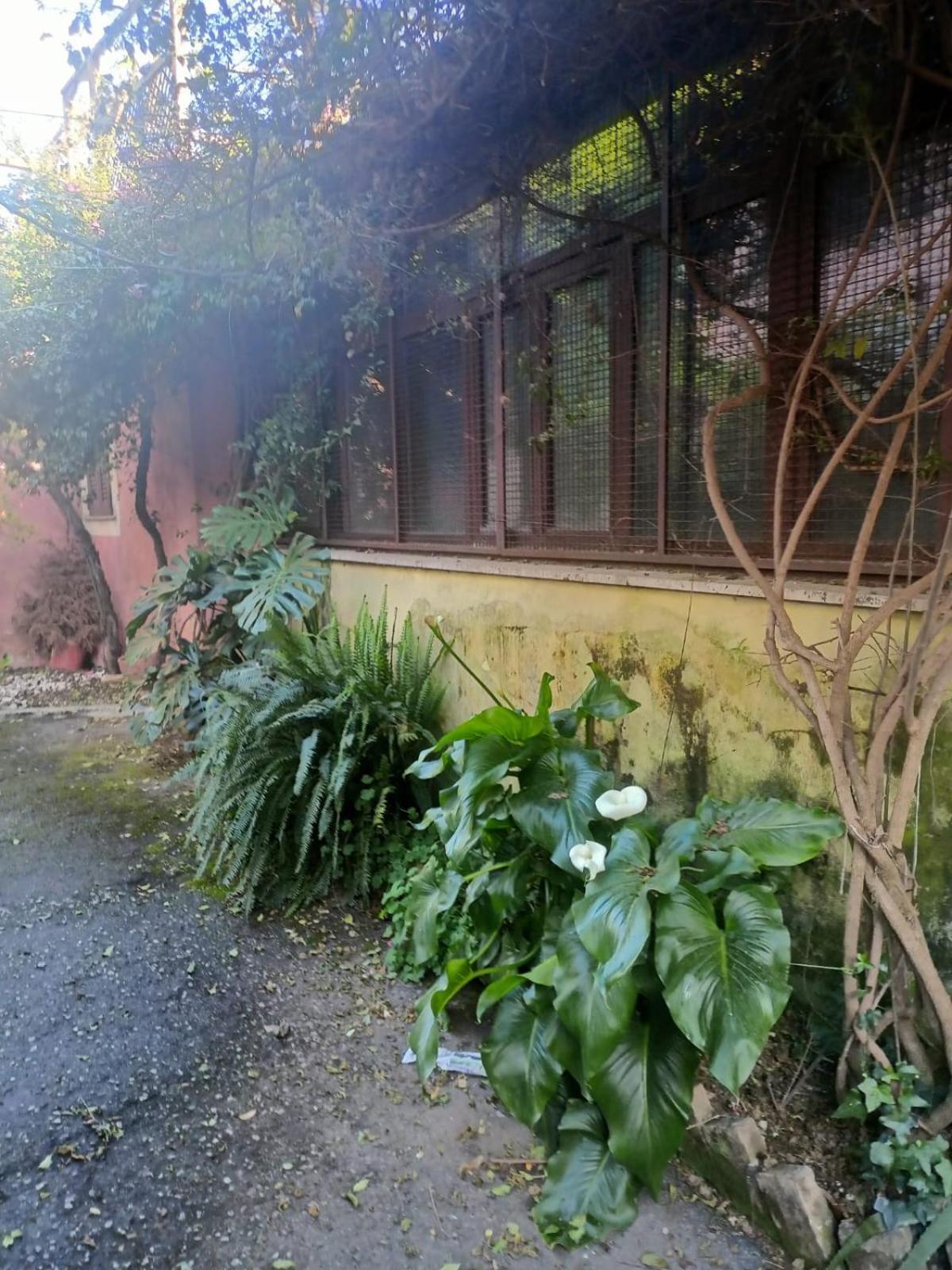 Villa Terrazza Quintili - A Un Passo Dal Centro Di Roma Exterior foto